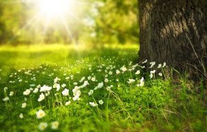 springtime